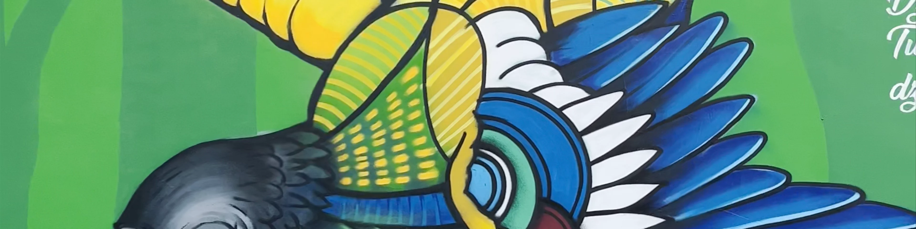 Es atgriežas Latgalē Graffiti