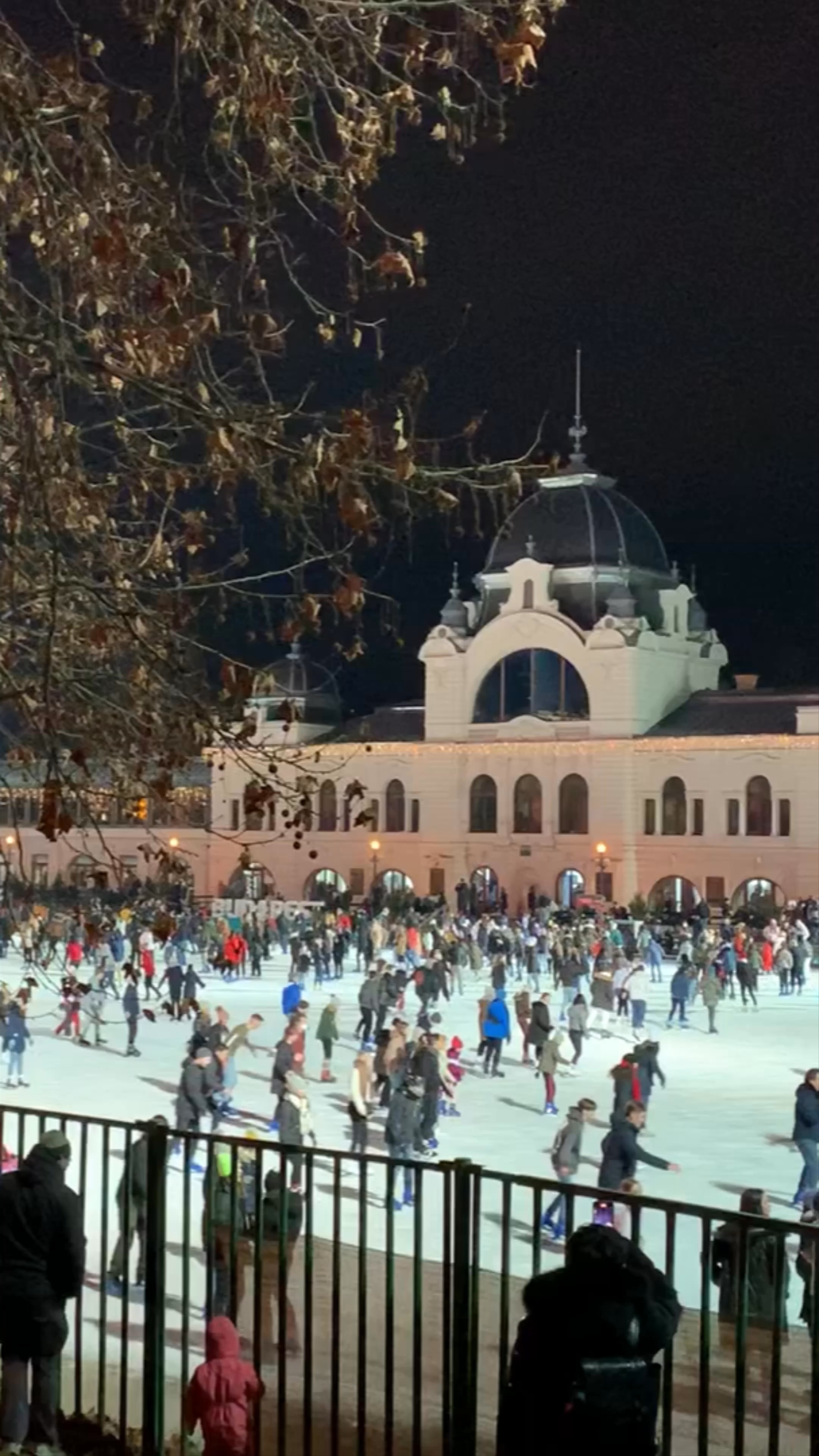 City Park Ice Rink and Boating