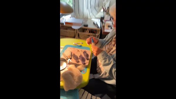 Preview image for video