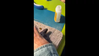 Preview image for video