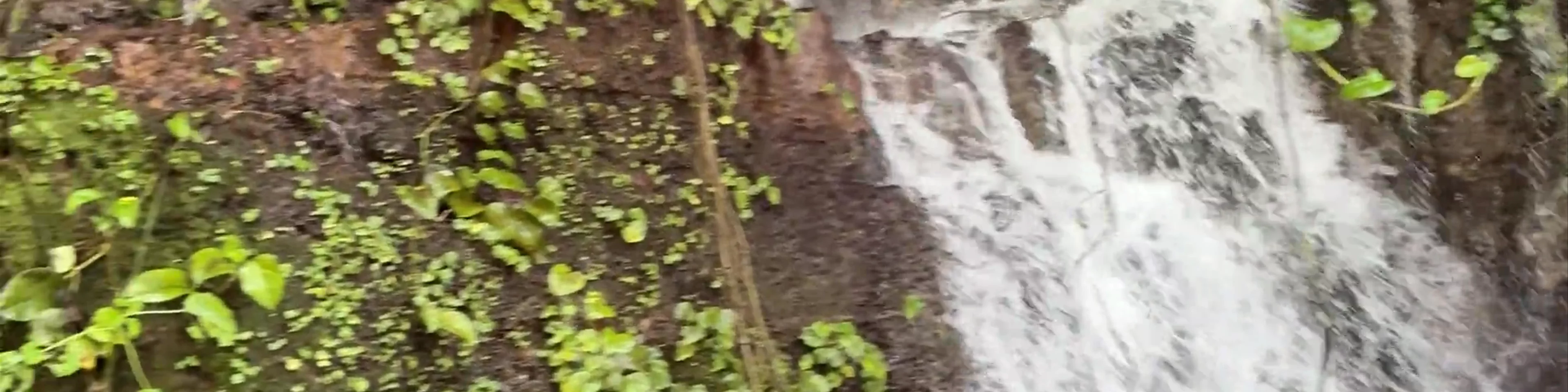Chorros de la Calera