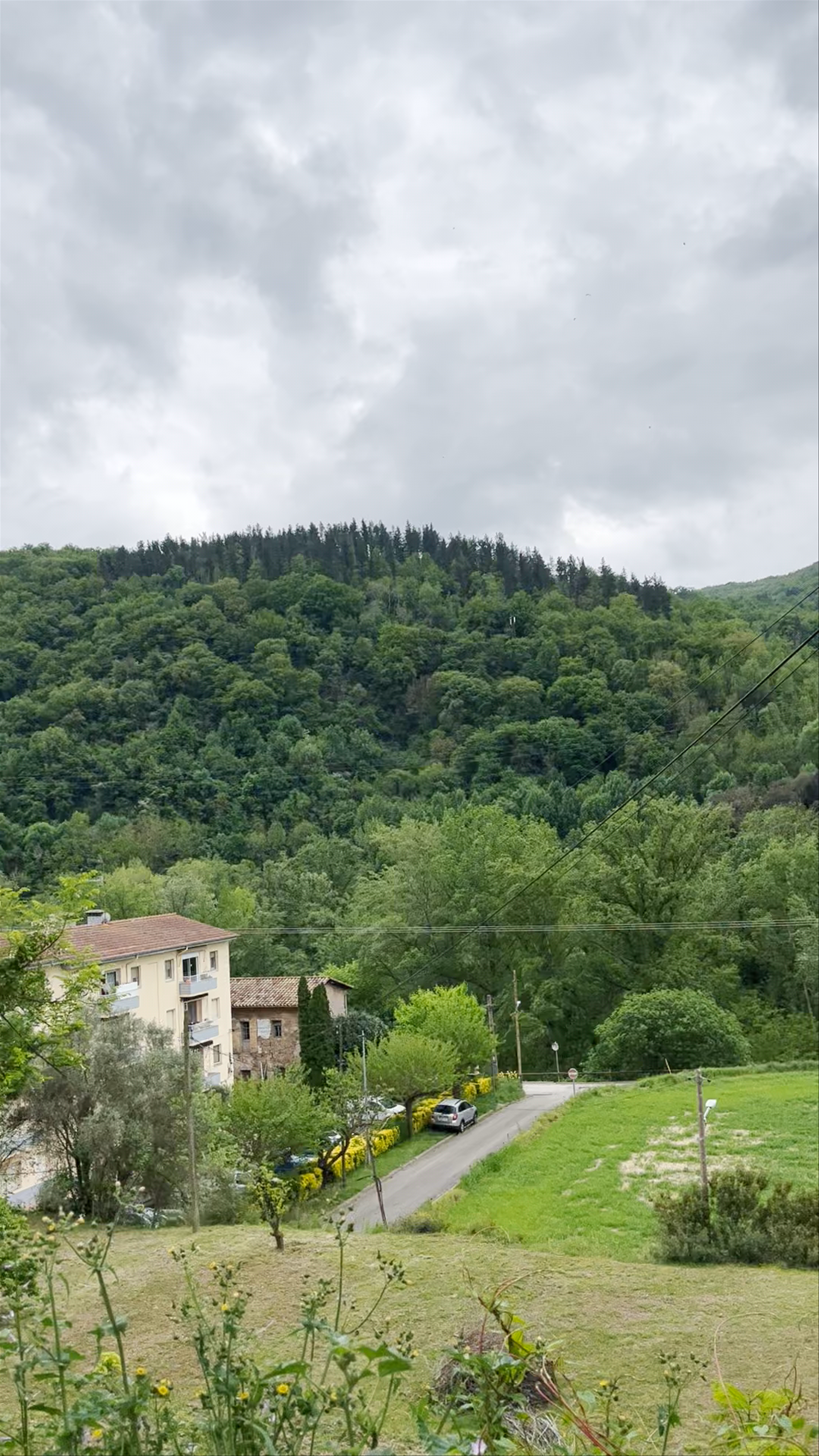 Castellfollit de la Roca. Cinglera basàltica