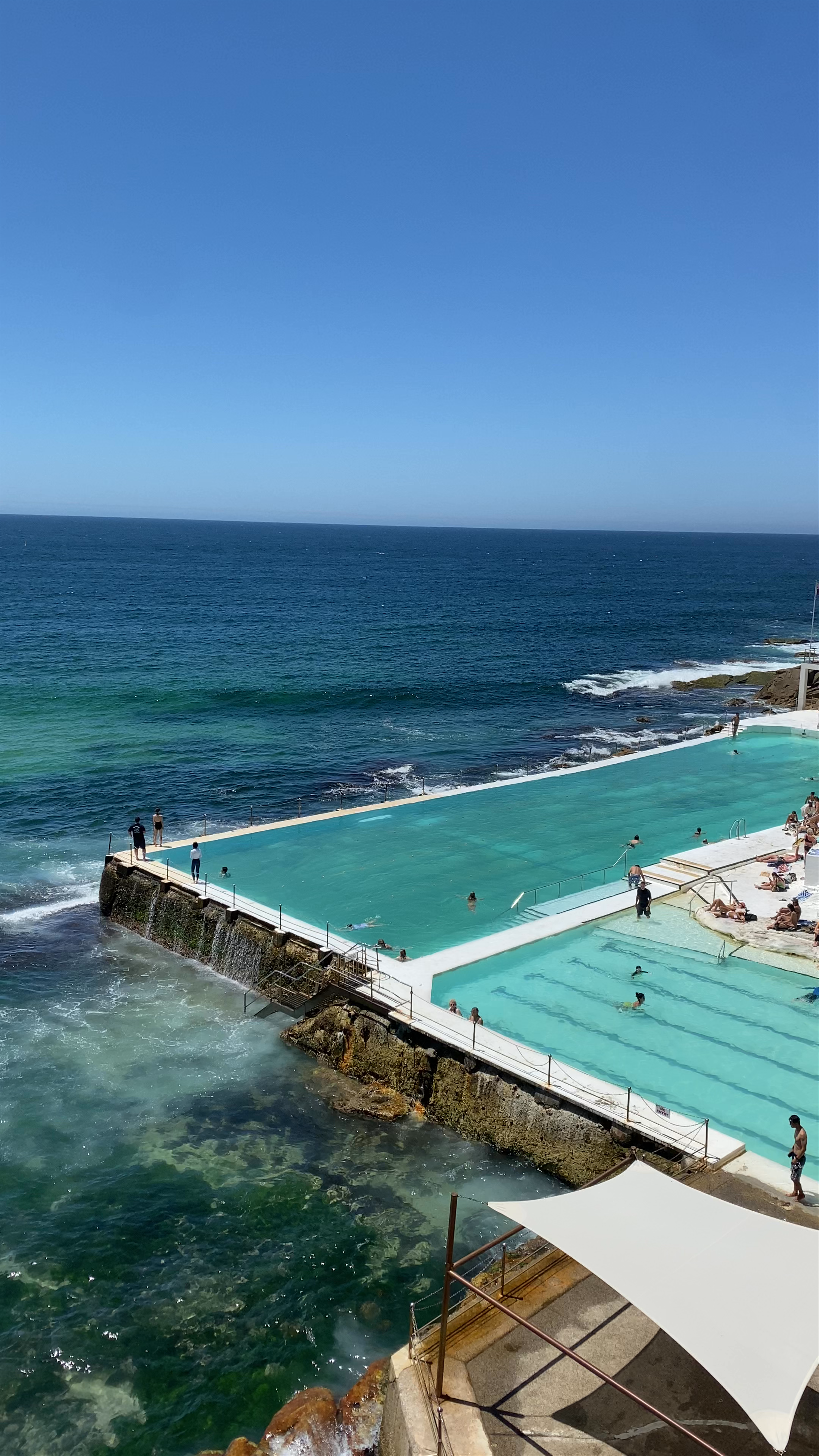 Bondi Icebergs POOL