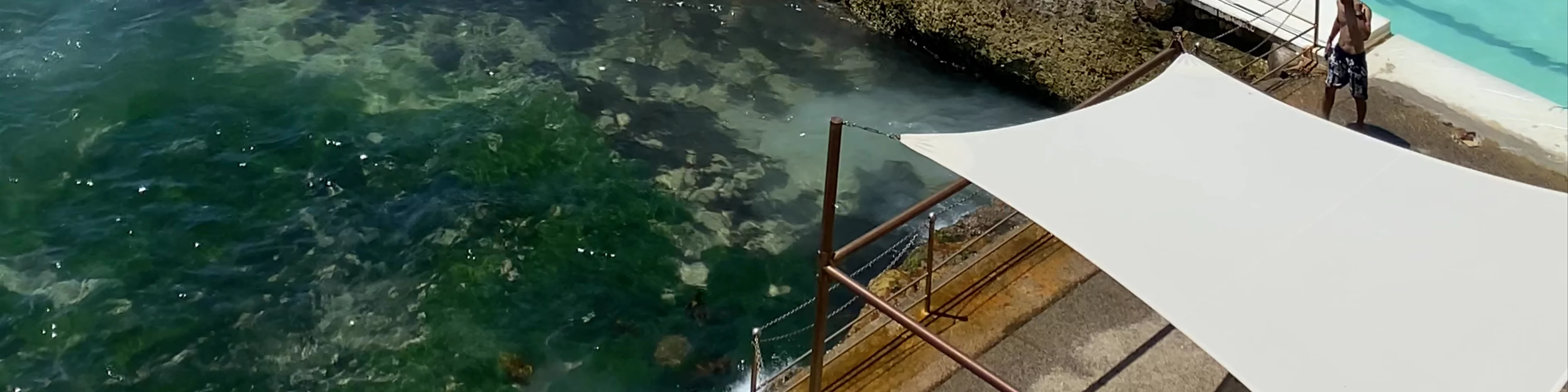 Bondi Icebergs POOL