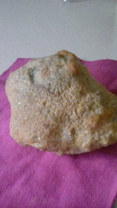 Brysons Rock Shop - Coprolite - Jewelry Near Me - Ogden, Utah