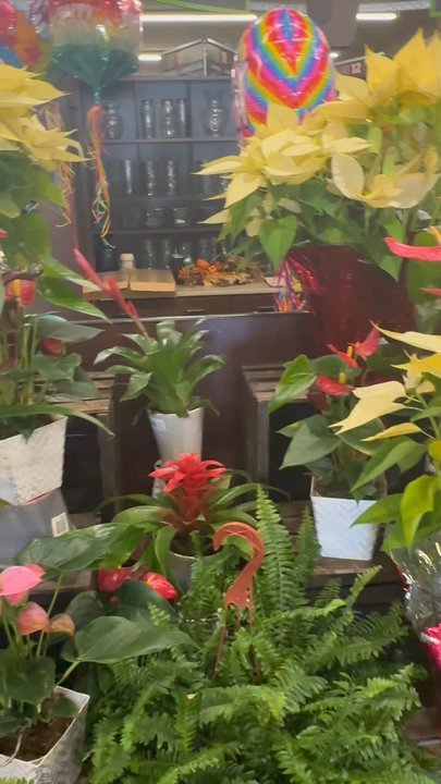 Bashas - Grocery Near Me - Tucson, Arizona