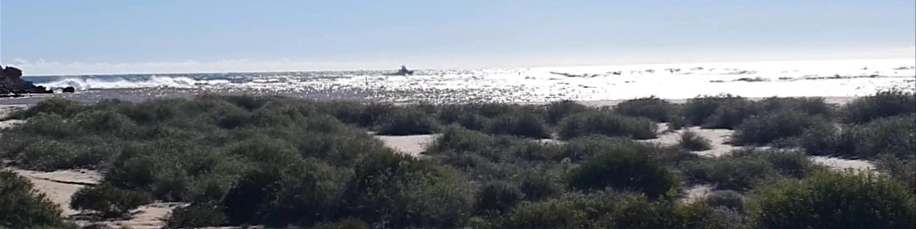 Chinaman's Beach