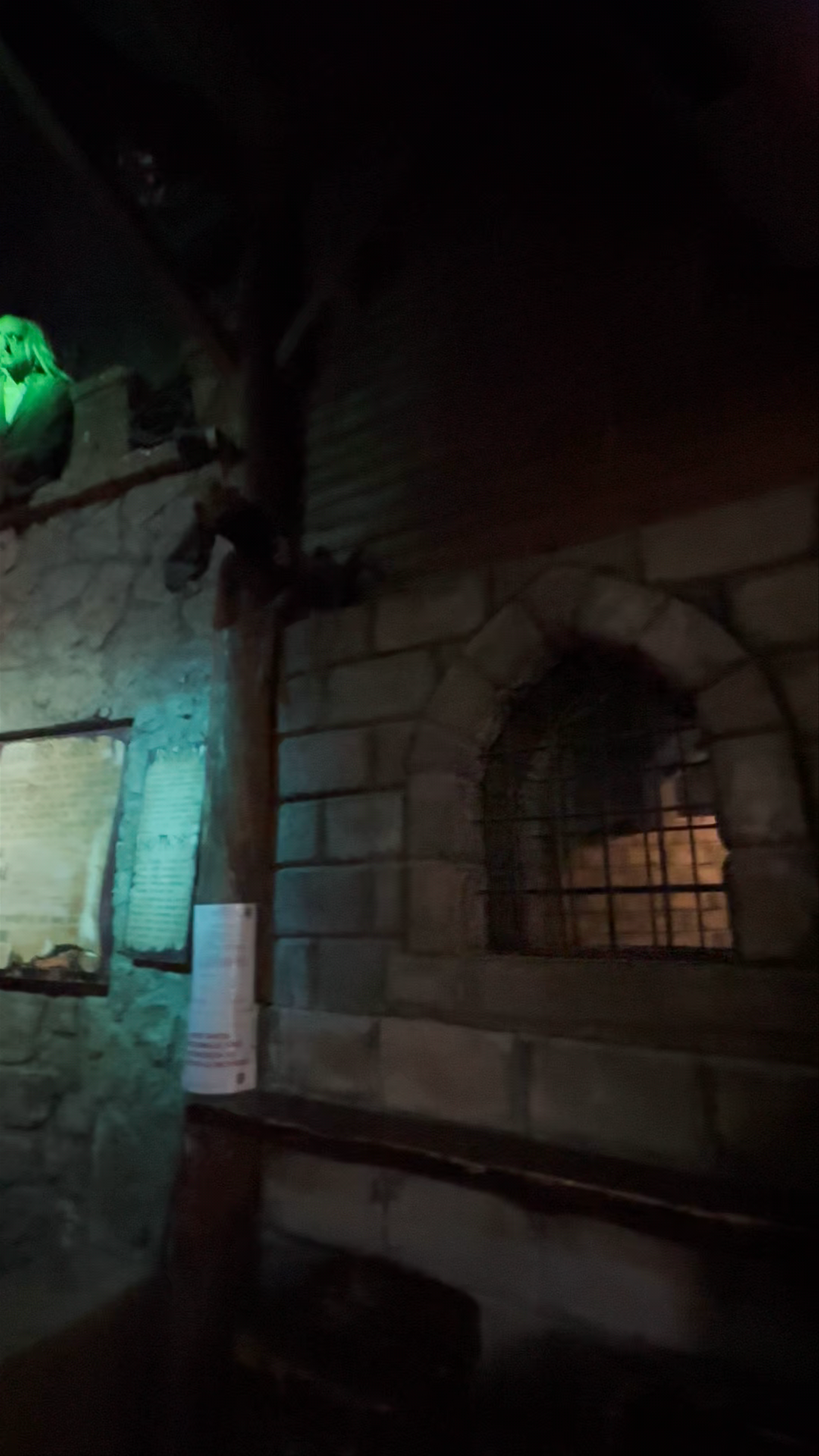 The Castle Of Horror