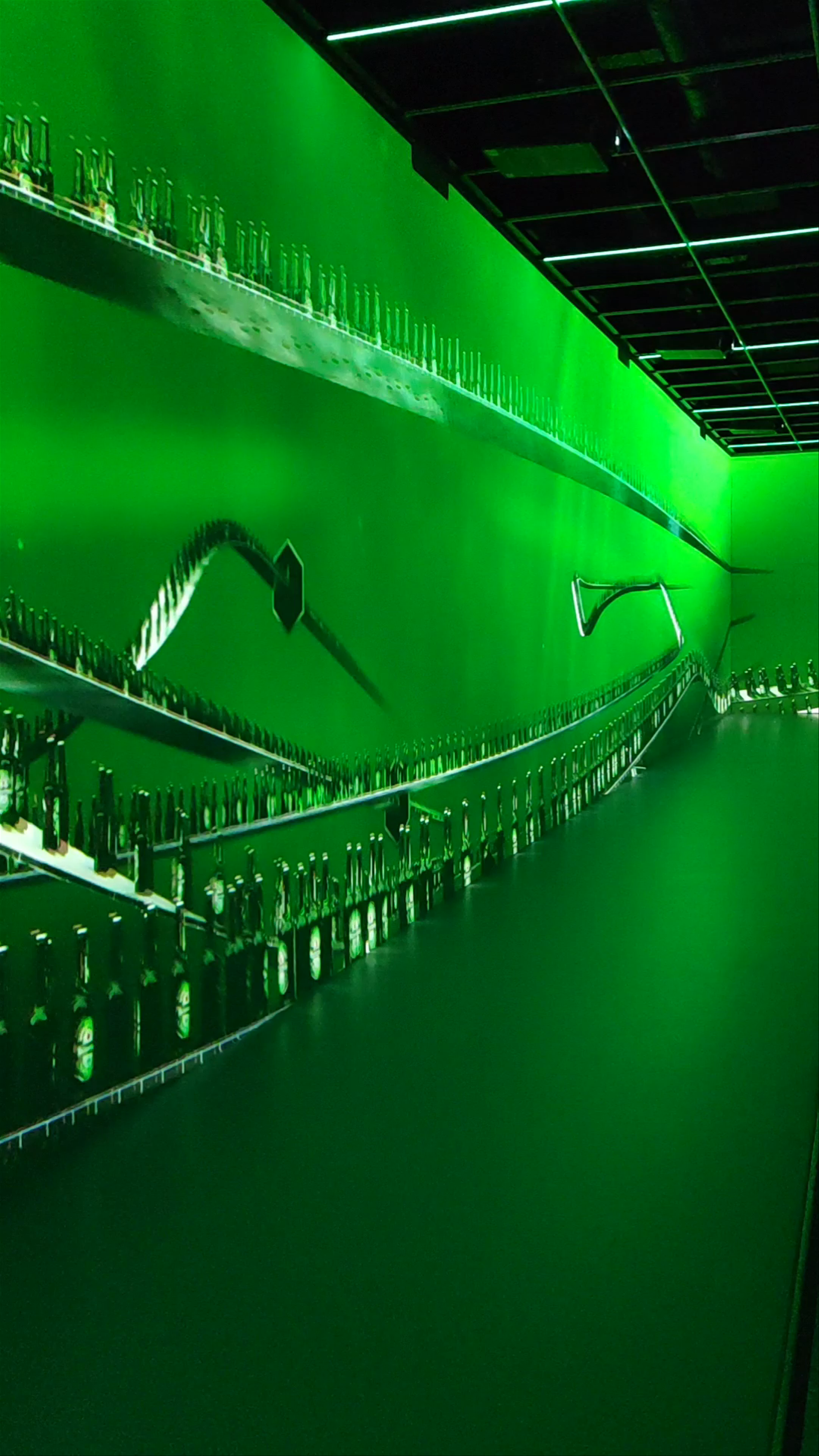 Heineken Experience