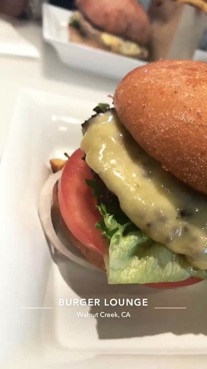 Burger Lounge - Little lounge, turkey, side of fries - Burgers Near Me - Walnut Creek, California