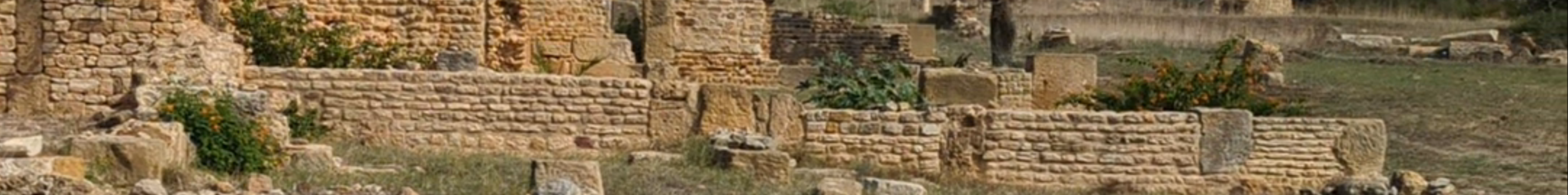 Tours & experiences in Carthage