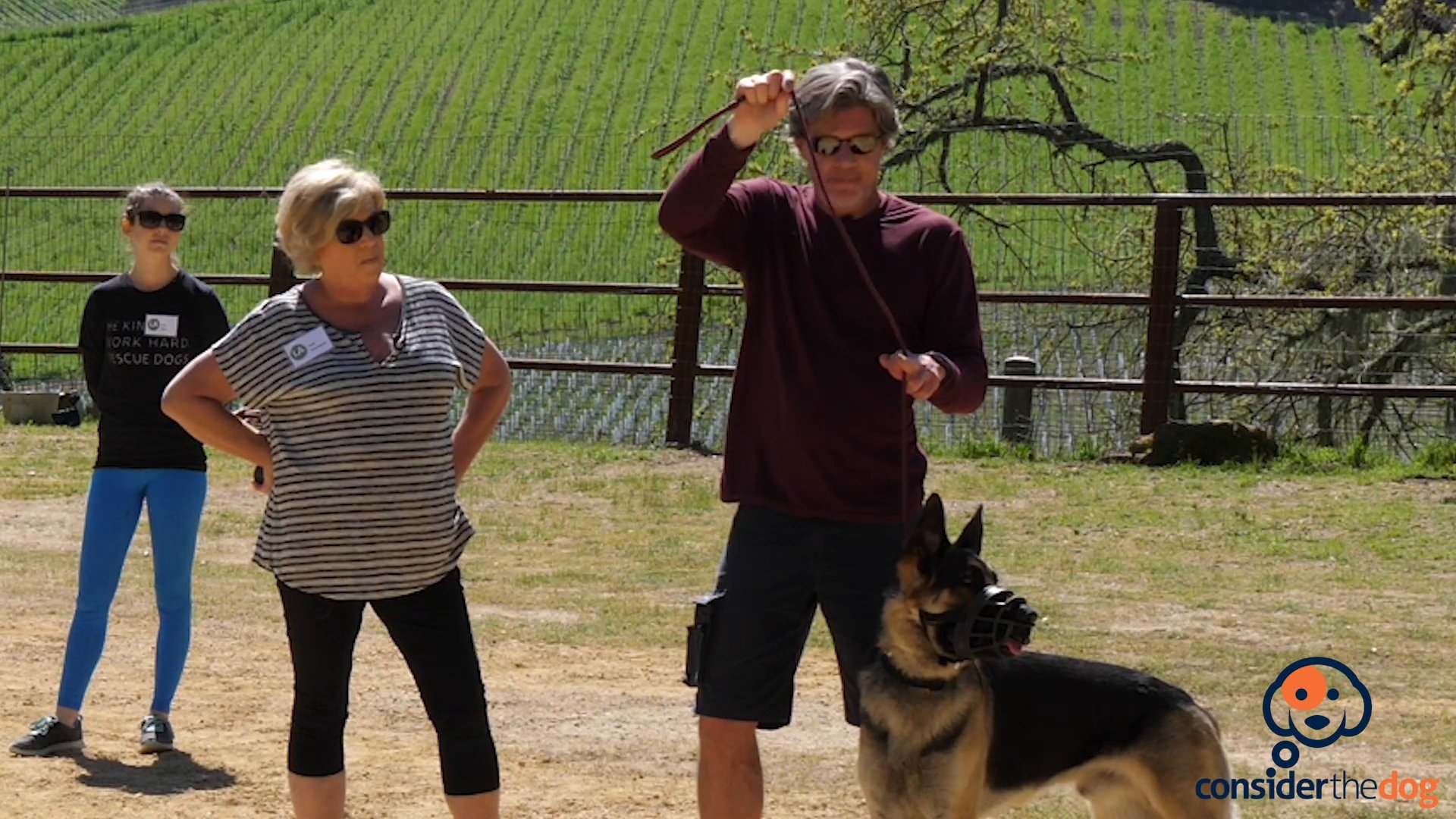 overprotective german shepherd