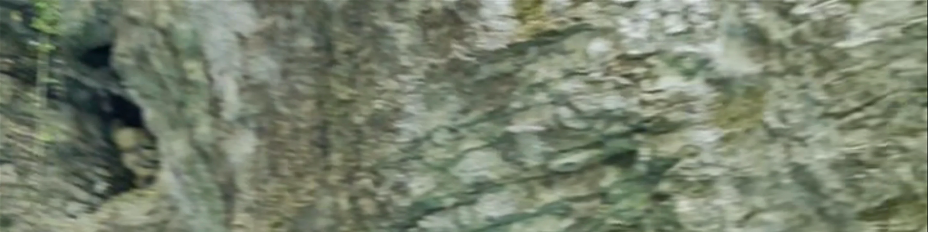 Martvili Canyon