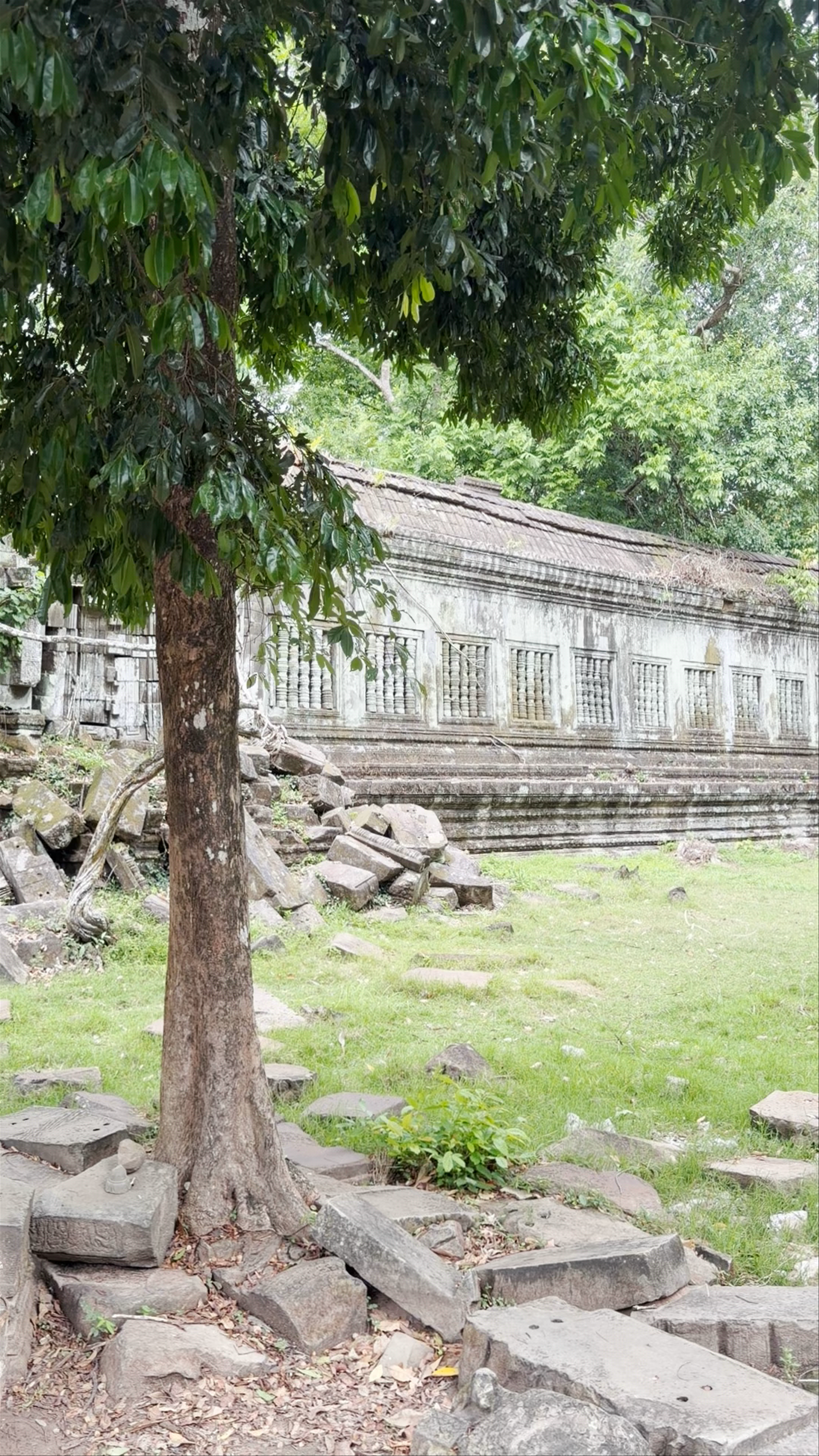 Beng Mealea Temple