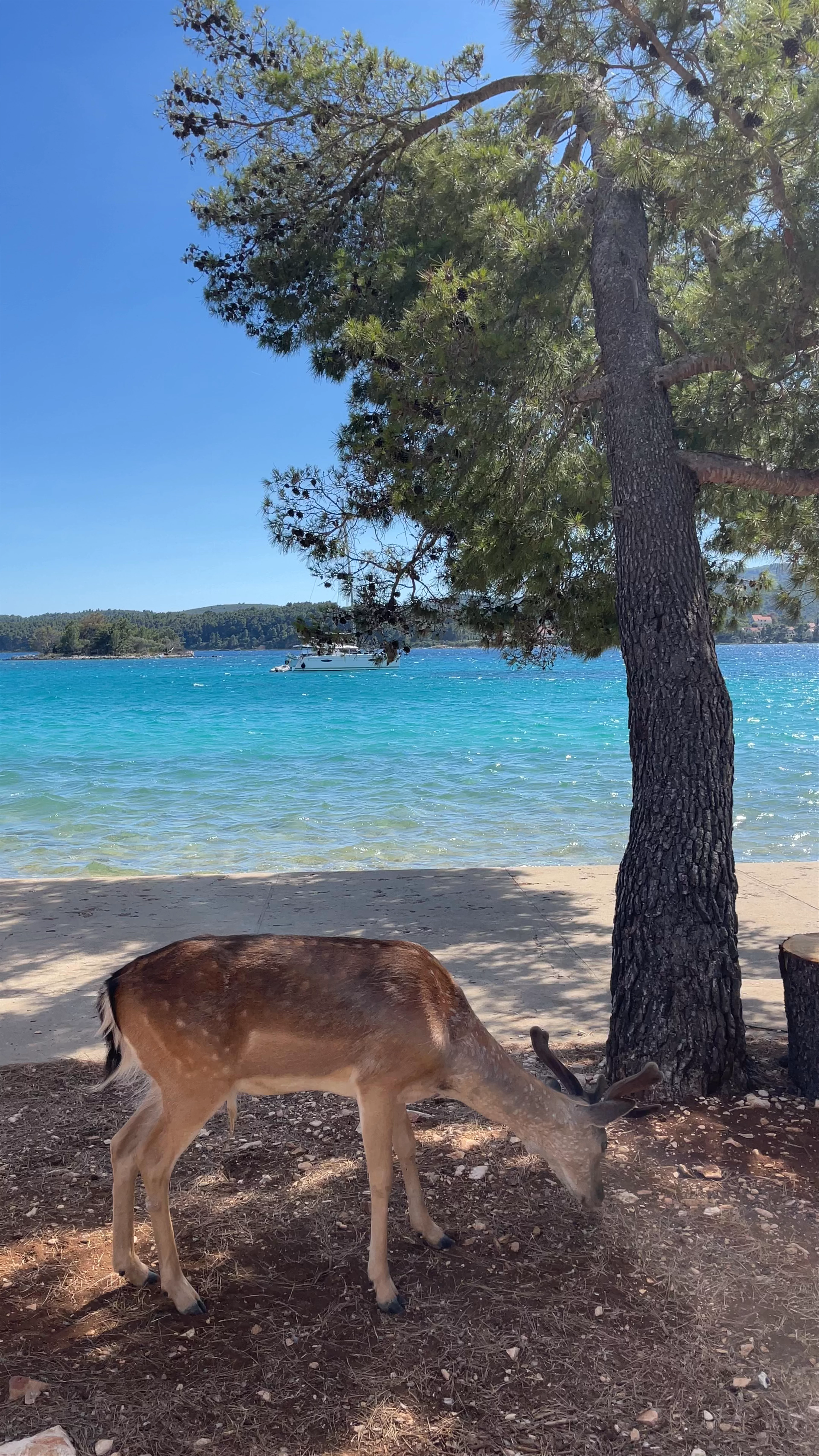 Badija, Sveti Antun, Korčula, Croatia