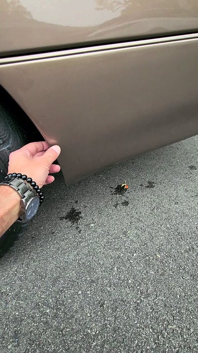 EXSA Automotive - Missing clips and hardware to hold the bumper... both sides - Body Shops Near Me - Evanston, Illinois