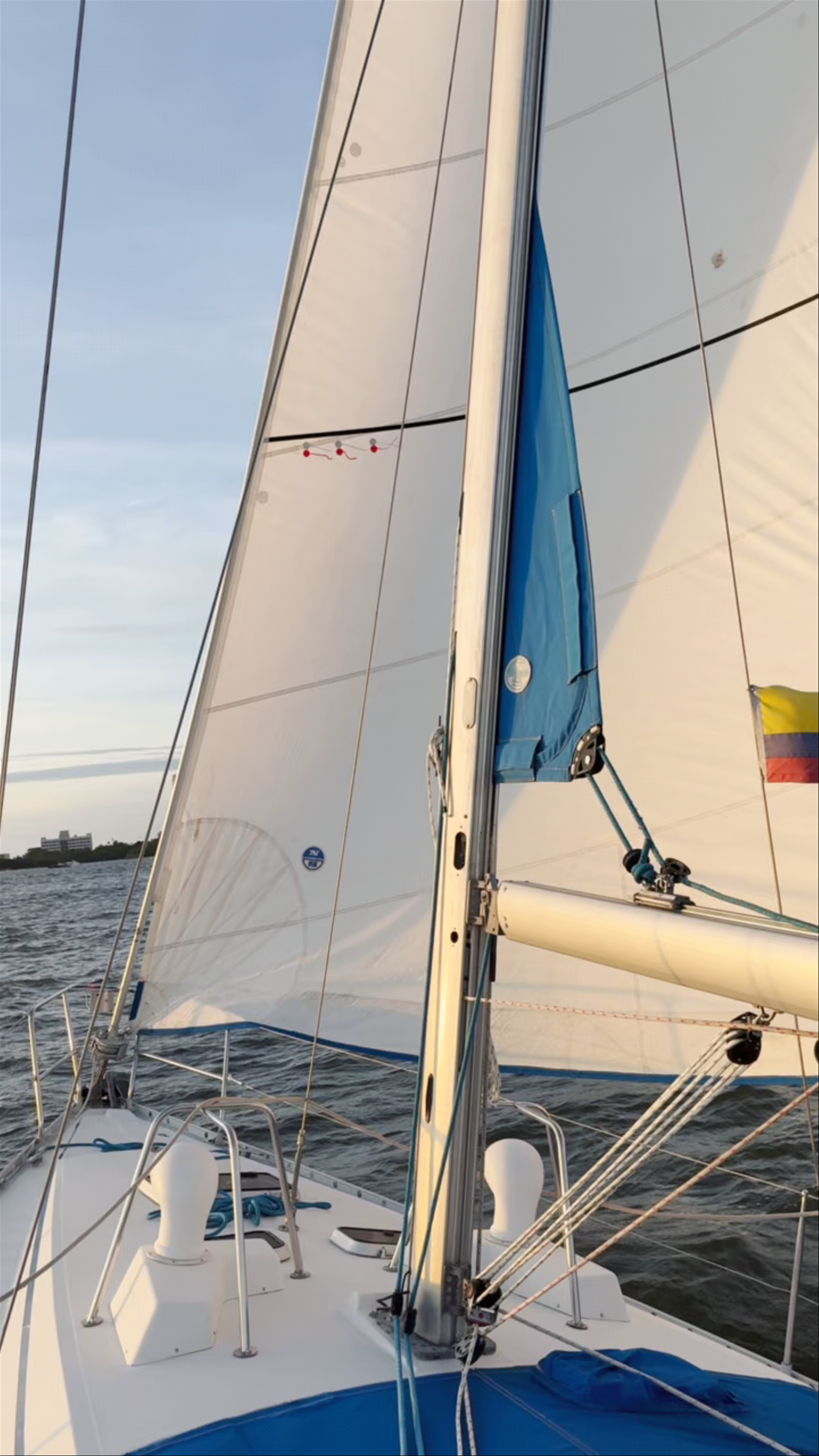 Catamarán BONA VIDA