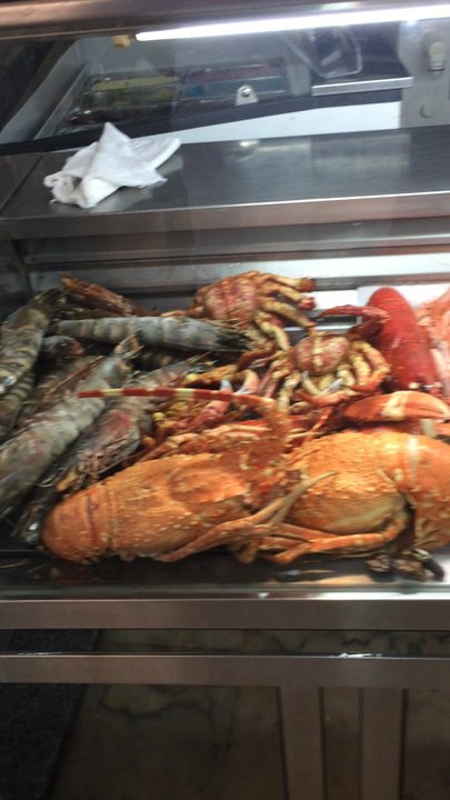 El Cristo - Fresh seafood - Seafood Near Me - Elvas, 12