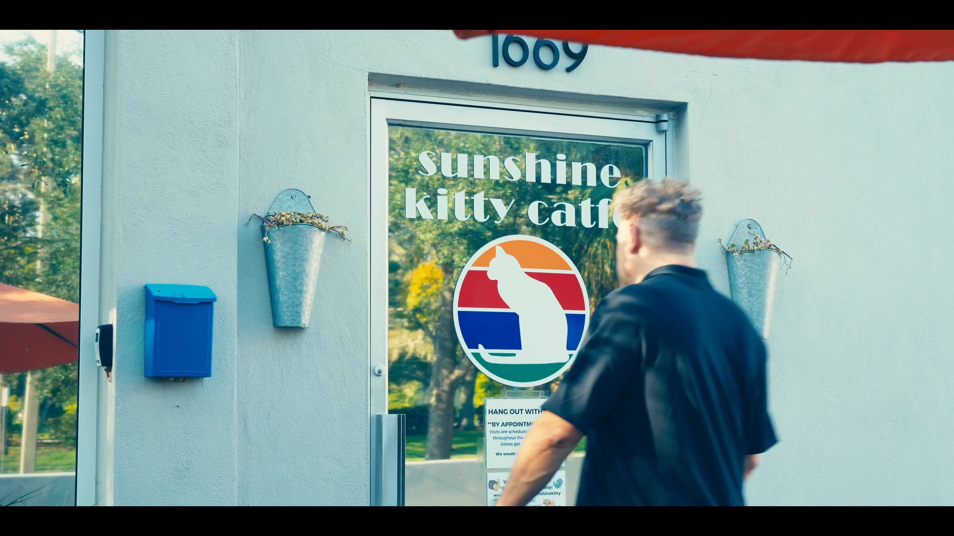 A man walks along an urban street and enters the Sunshine Kitty Cafe, where several cats play in an interior space.