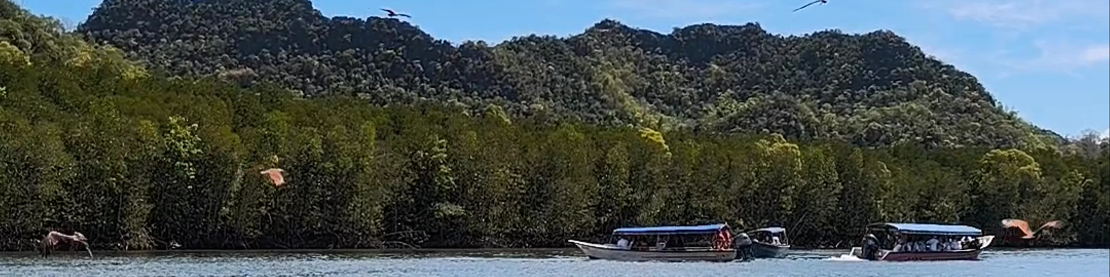 Tanjung Rhu Mangrove Eagle Viewing