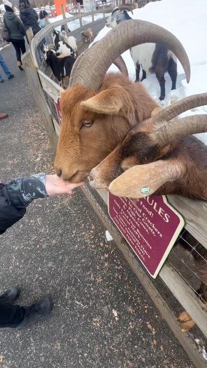 Abma's Farm - Farmers Market Near Me - Wyckoff, New Jersey