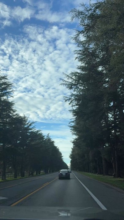 Ostrichland USA - Very beautiful road - Attraction Farms Near Me - Solvang, California