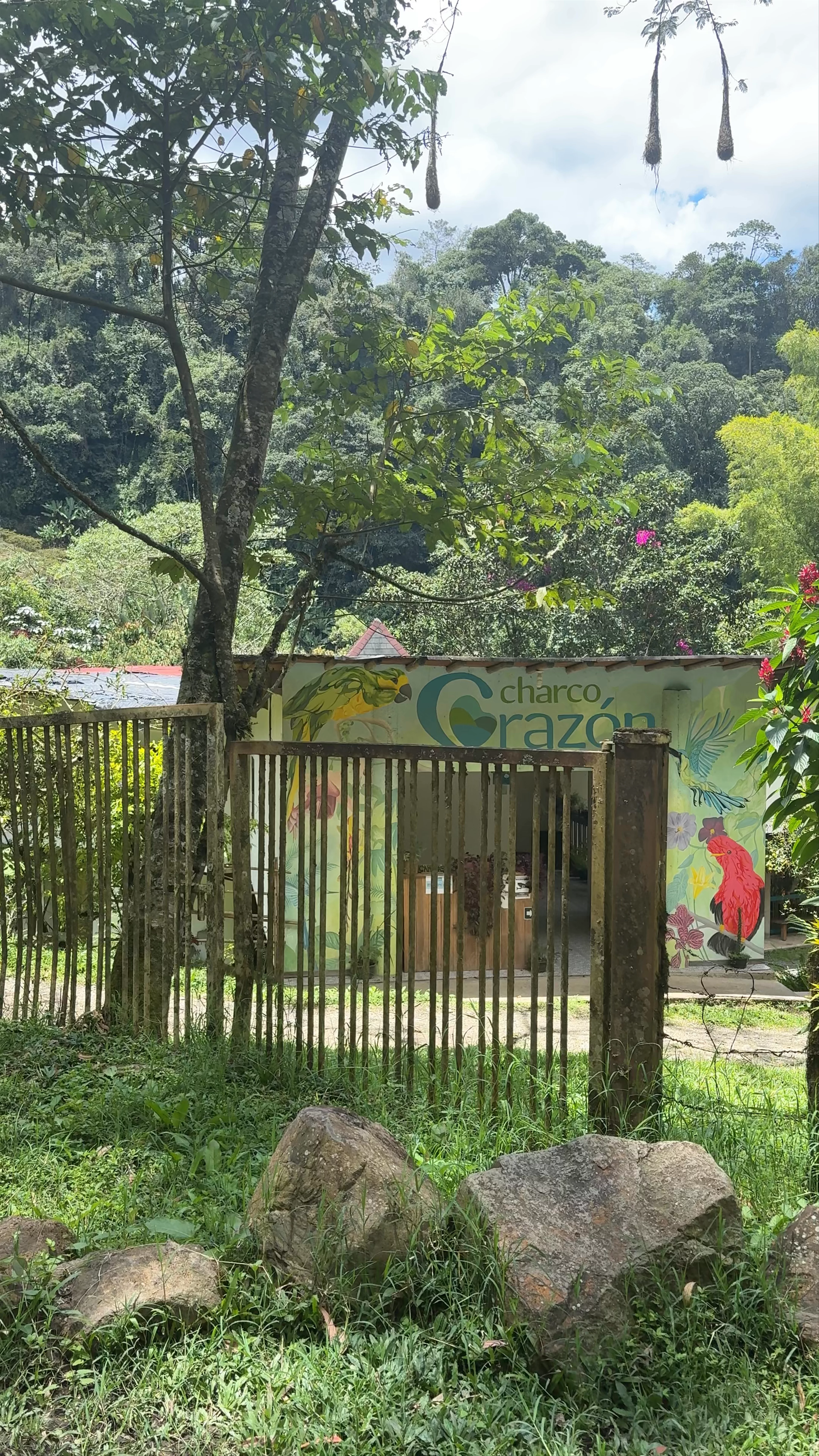 Cascada del Amor