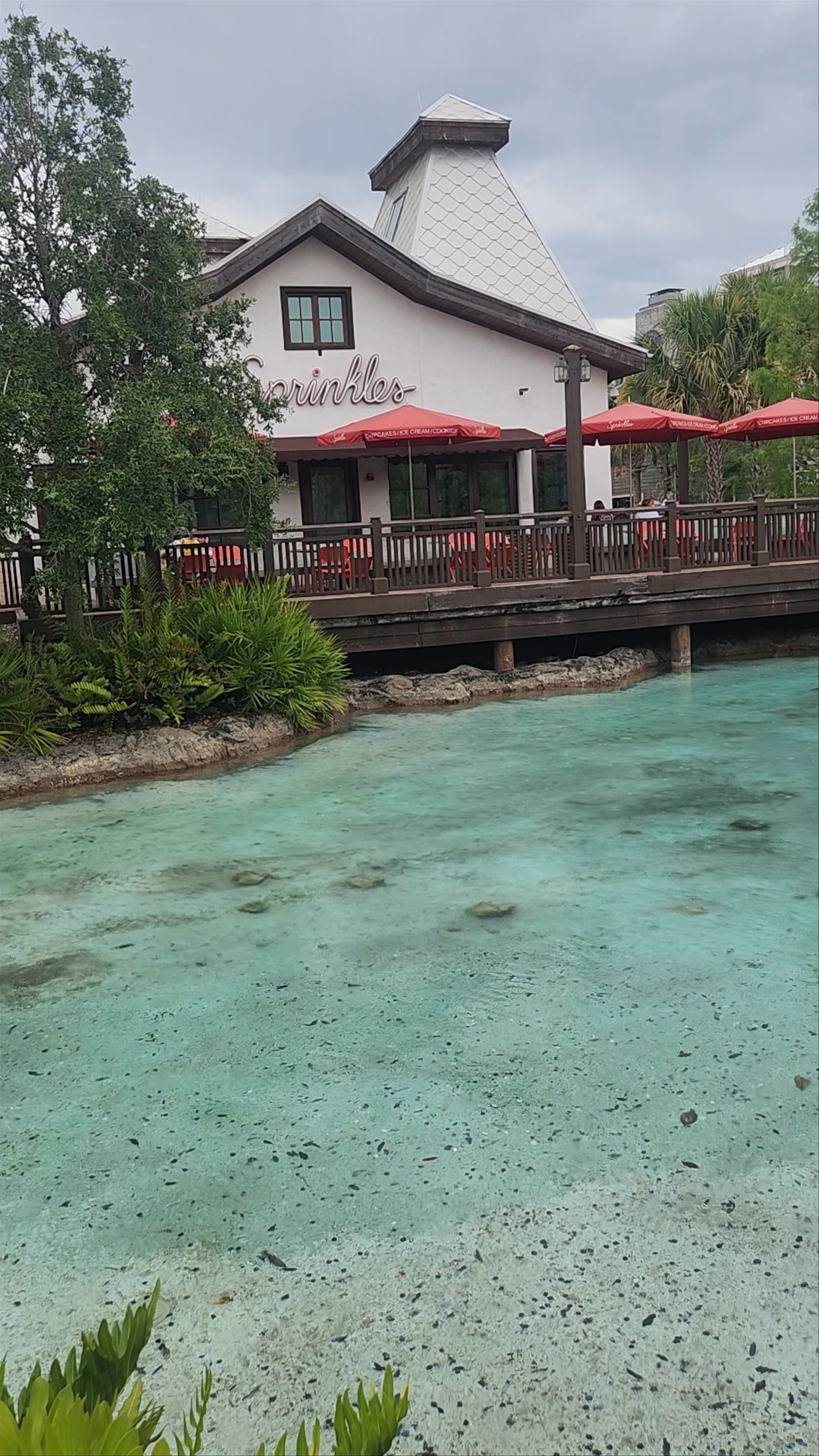 Disney Springs Town Center