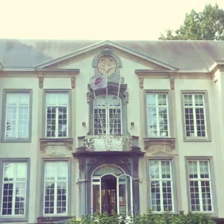 FLOW Café - Take a tour through our charming café and park terrace! 3 - Vegan Near Me - Antwerp, VAN