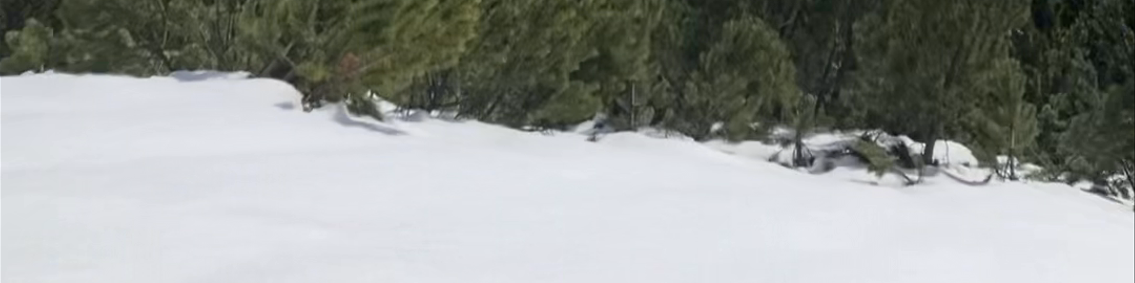 Garmisch-Partenkirchen