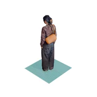 Grandiose Goose (Large) 3D scan