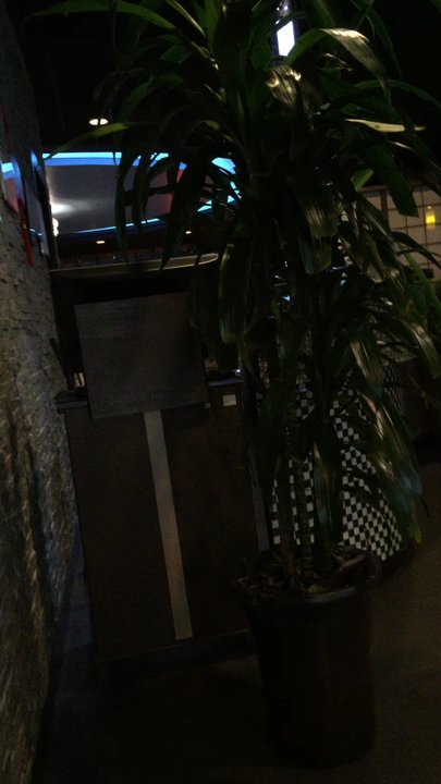 Kumo Asian Bistro - So peaceful. - Sushi Bars Near Me - Somerville, New Jersey