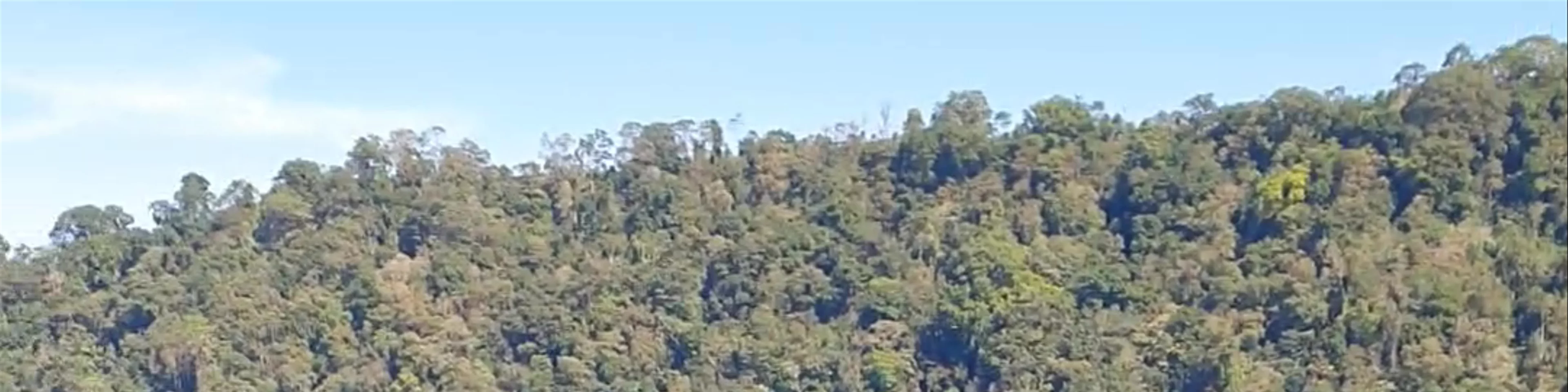 Pura Dalem Tamblingan