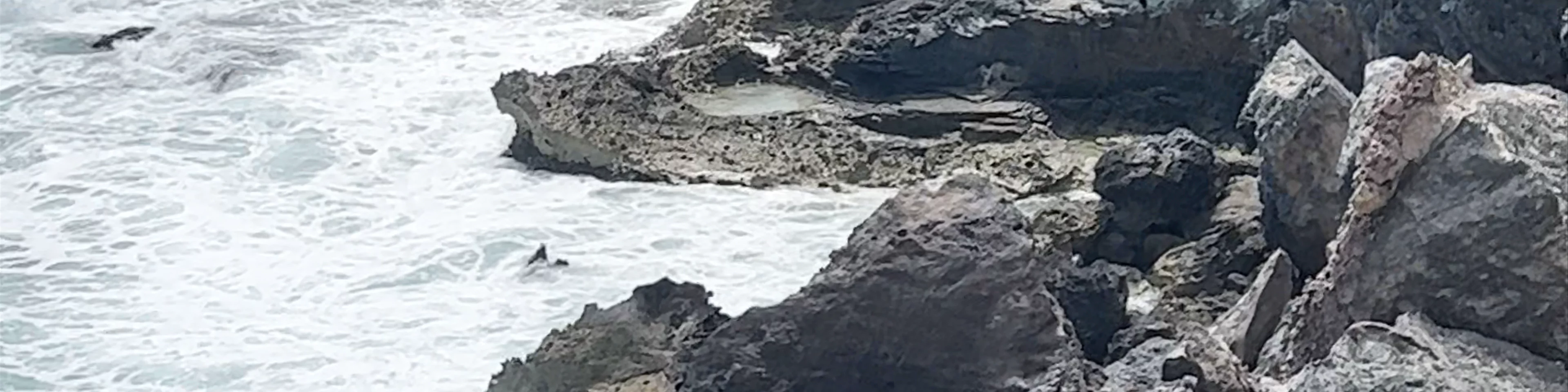 Punta sur
