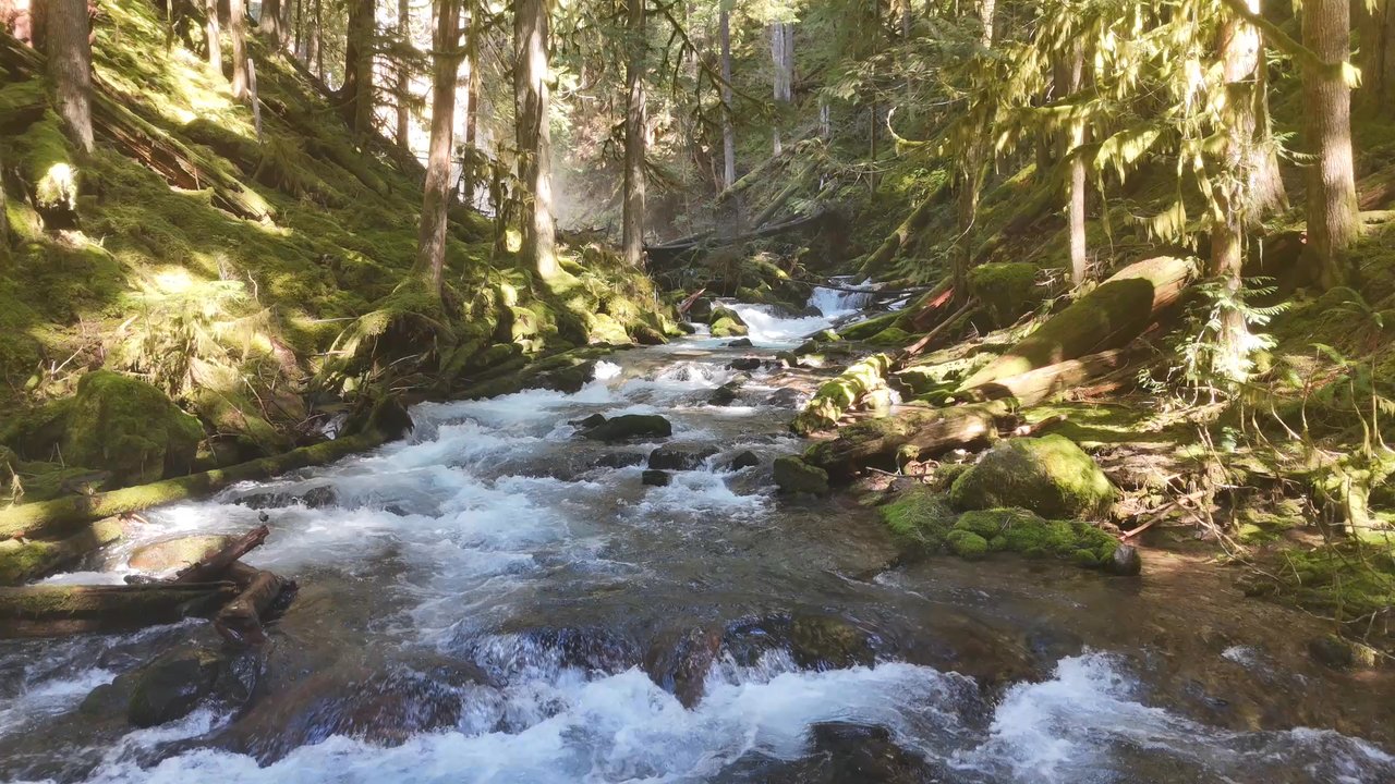 Panther Creek Falls - Starting at the bottom of the creek and up to the falls - Hiking Near Me - Carson, Washington