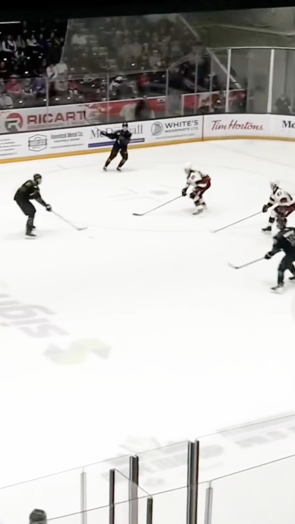 Adam Novotny Highlight Reel