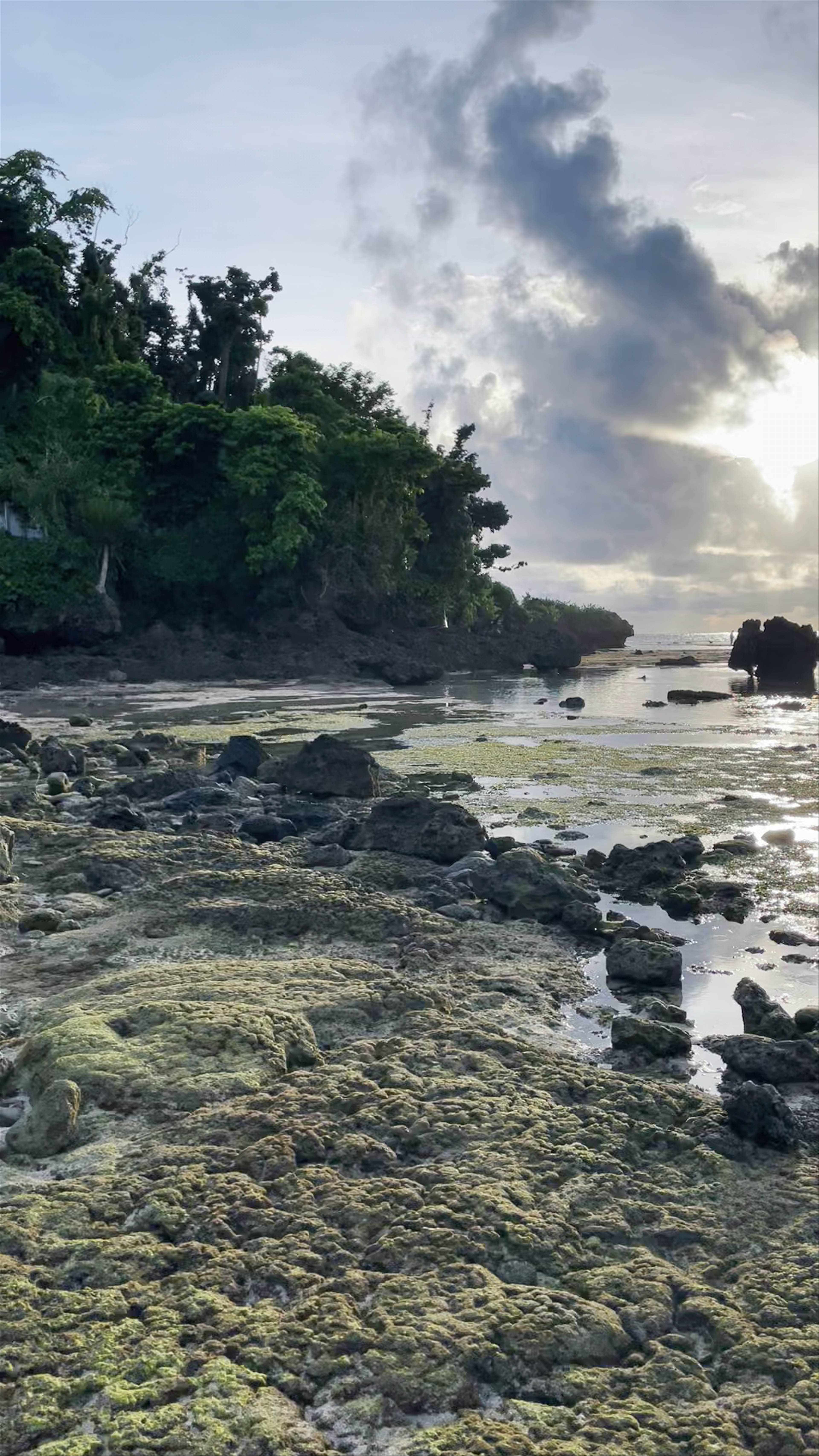 Magpopongko Rock Pools and Flats