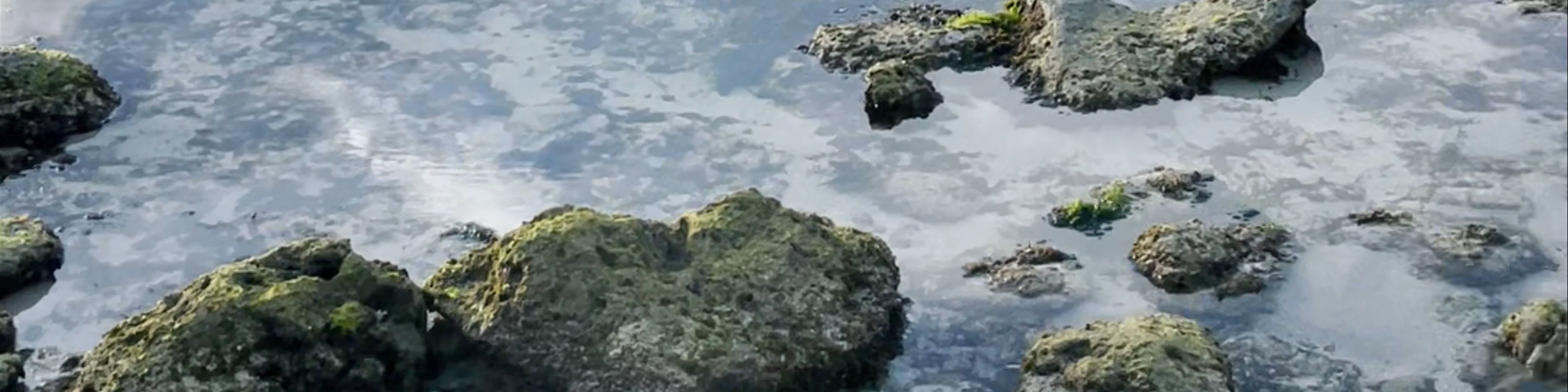 Magpopongko Rock Pools and Flats