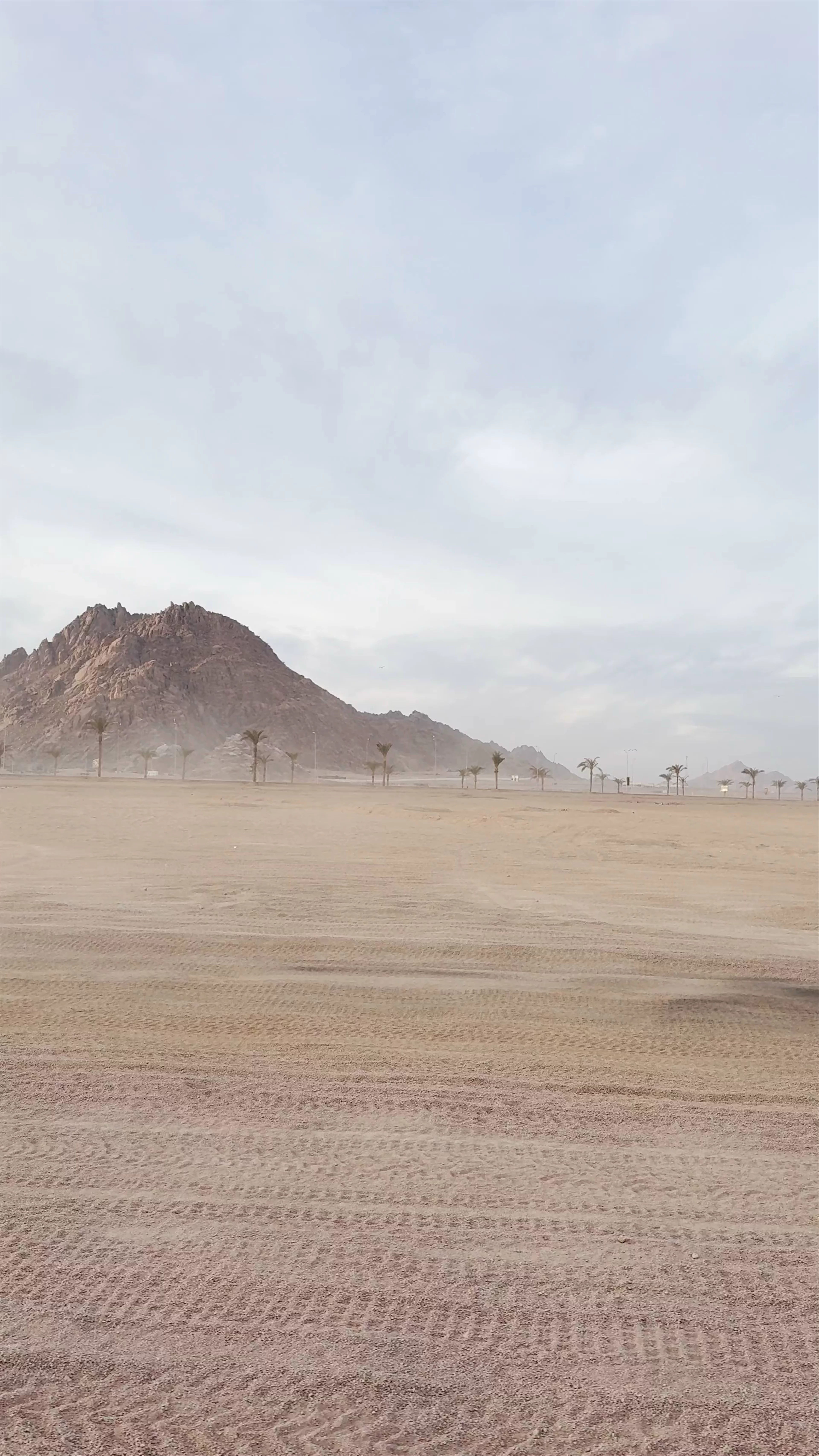 Falcon Adventure, Nabq Bay