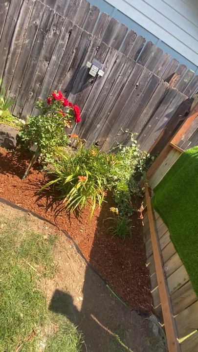 Calmo Landscaping - They did AMAZING! Completely transformed my yard in 3 hrs! They responded FAST & came out the NEXT DAY! Thank u guys so much! 5 STARS! - Landscaping Near Me