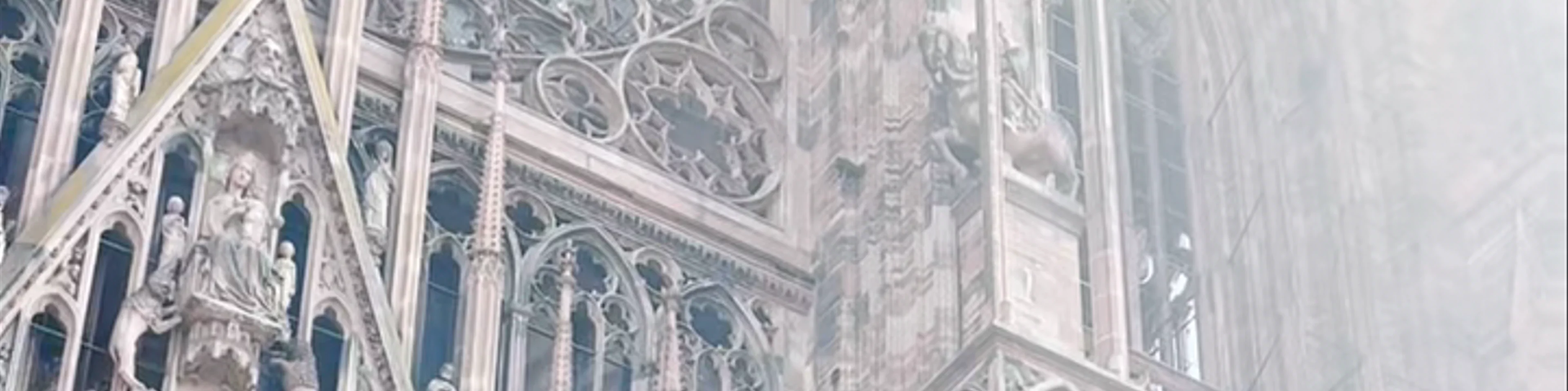 Cathédrale Notre Dame de Strasbourg
