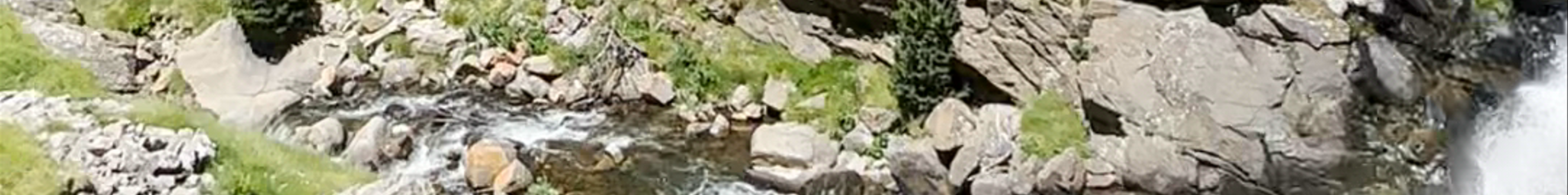 Tours & experiences in Ripoll