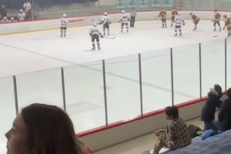 Elijah Harrell: Roosevelt High's Rising Star in Hockey Highlights