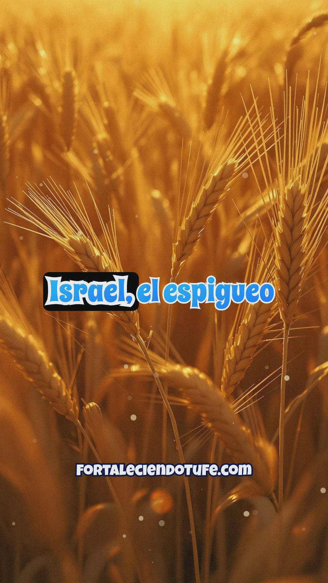 El espigueo en el Libro de Rut: Una práctica modesta con gran impacto redentor