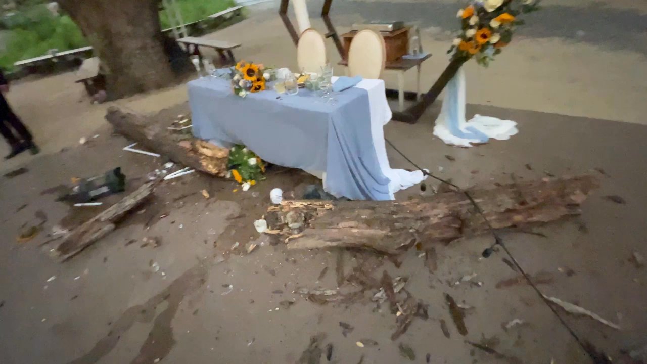 Pond Oaks - Tree branch fallen at Pond Oaks, Mt Baldy, CA - Venues & Event Spaces Near Me
