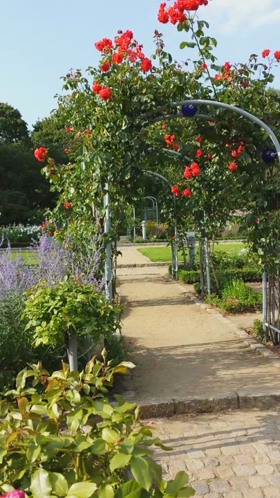 Rosengarten - Parks Near Me - Hamburg, HH