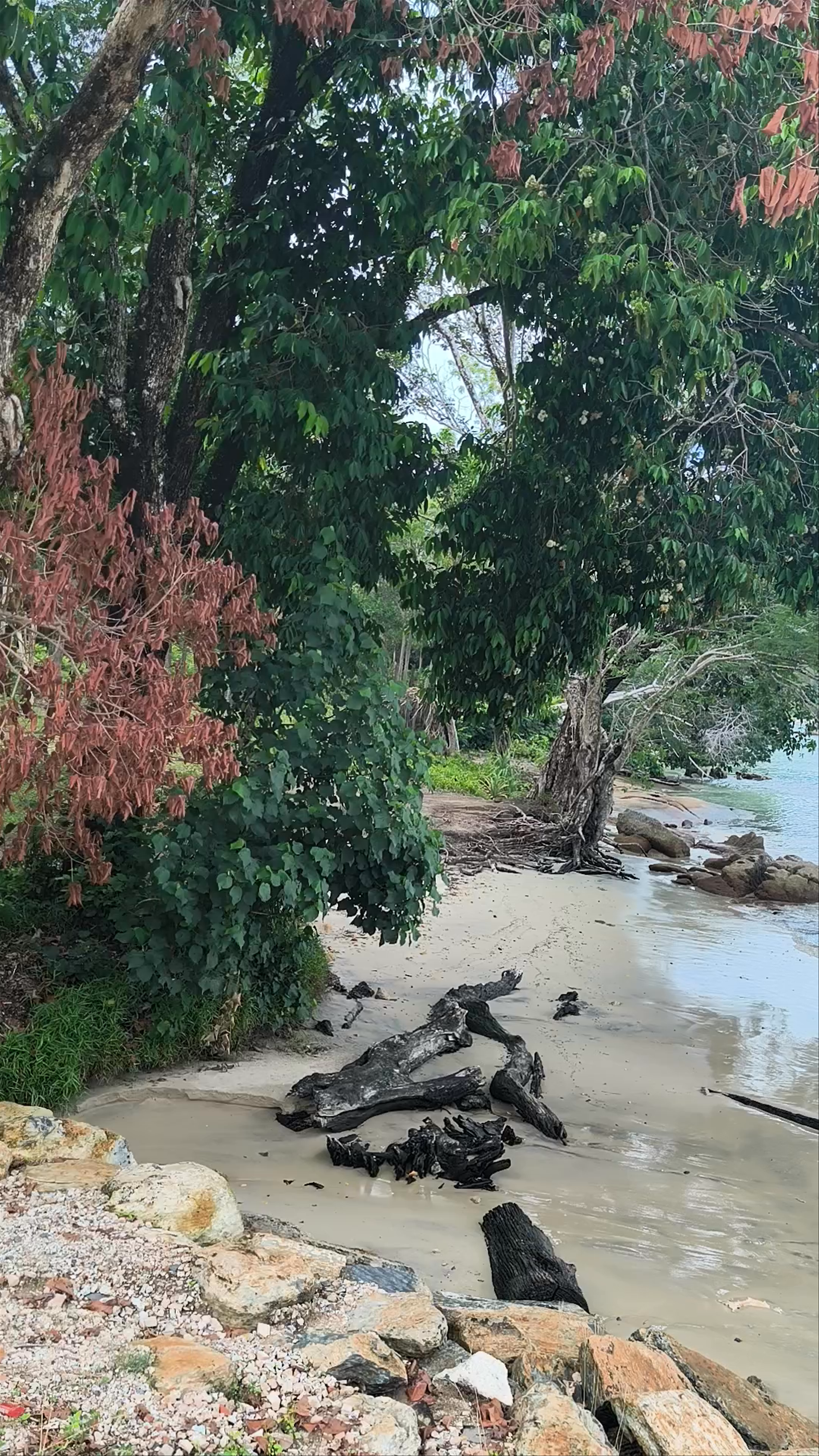 Teluk Burau