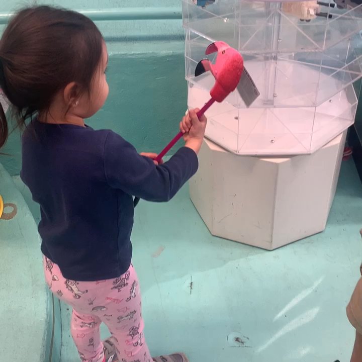Terra Toys - Such an awesome and fun place for kids - Toy Stores Near Me - Austin, Texas