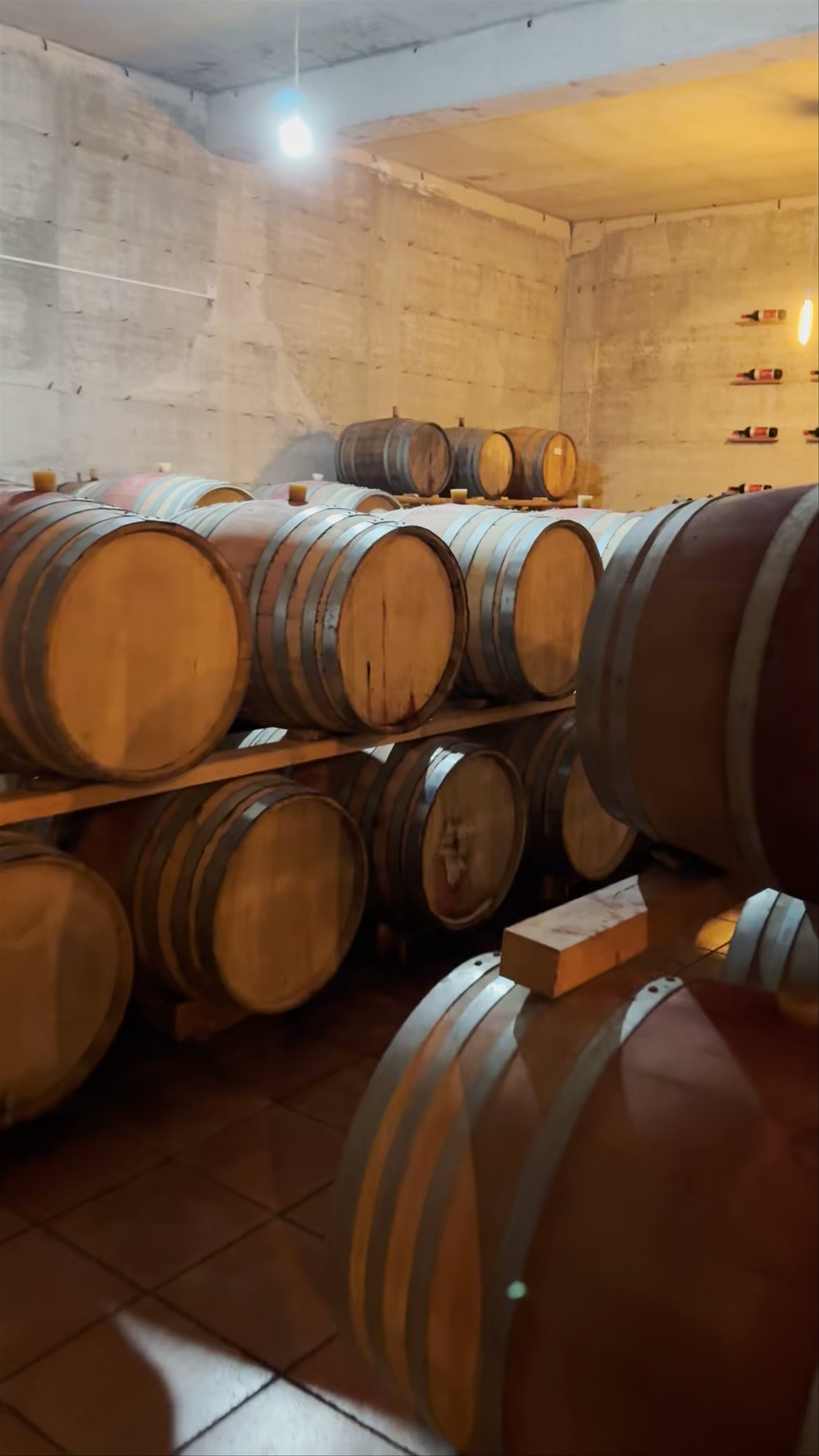 Christoudia Winery