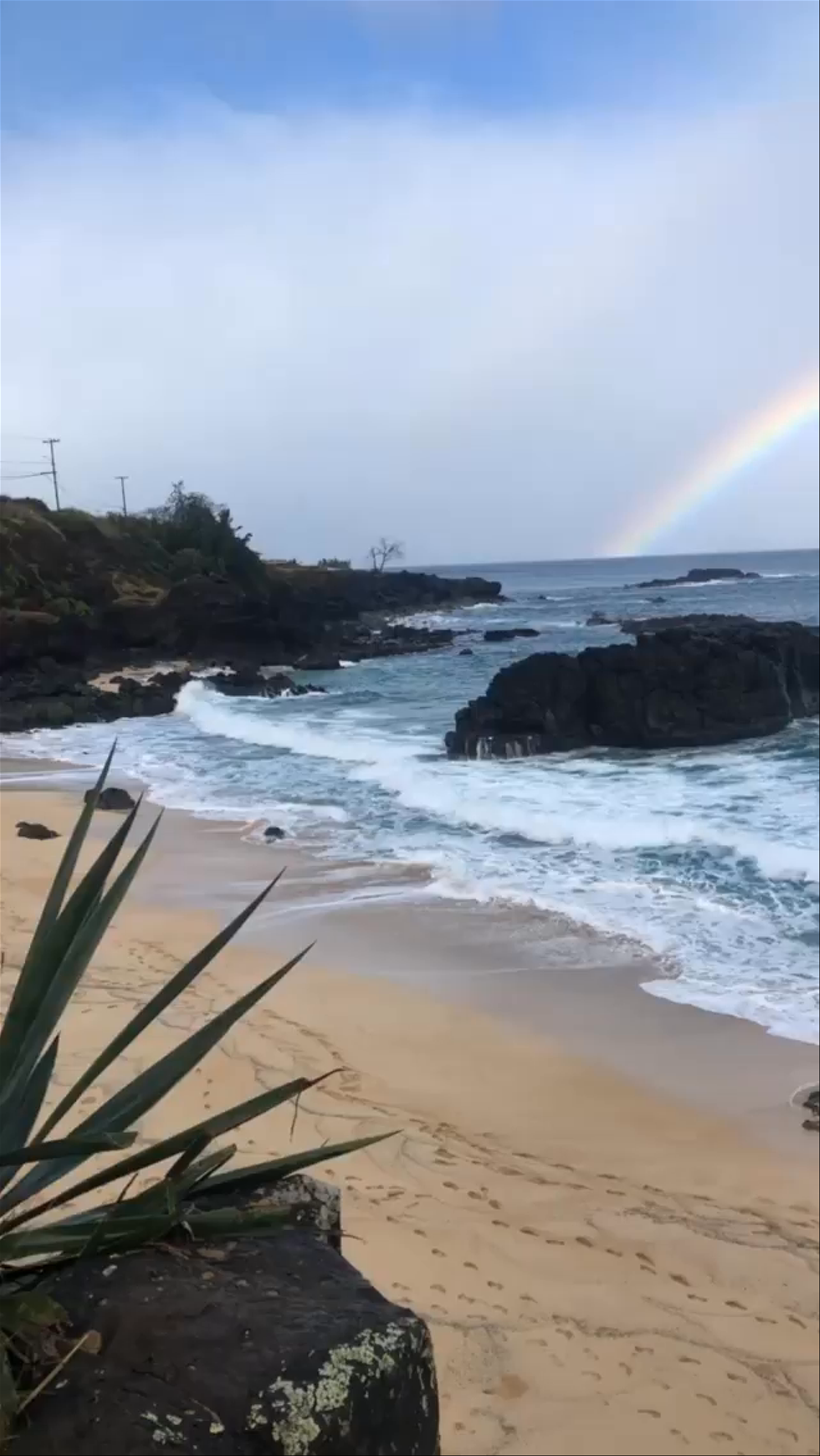 Waimea Bay